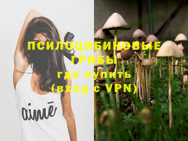 кокс Алзамай