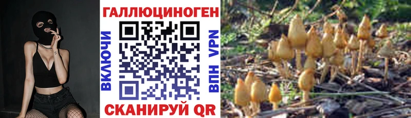 Галлюциногенные грибы Psilocybine cubensis  Одинцово 