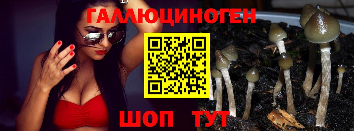 Галлюциногенные грибы Psilocybine cubensis  Галлюциногенные грибы MAGIC MUSHROOMS  Одинцово  продажа наркотиков  Вход с VPN 